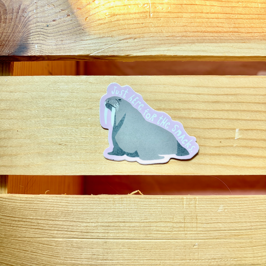 Walrus Here for the Snacks Small Sticker