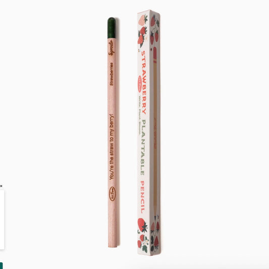 Strawberry plantable pencil with packaging on a white background