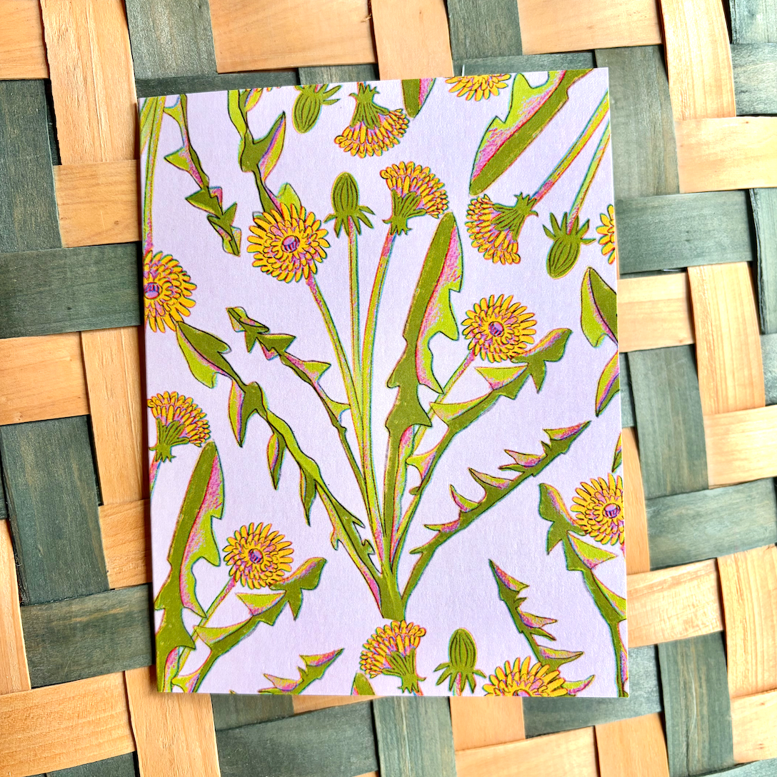 DANDELION CARD SET on pink background