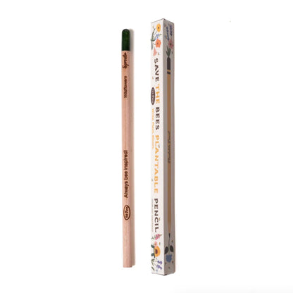 Plantable pencil with packaging on a white background