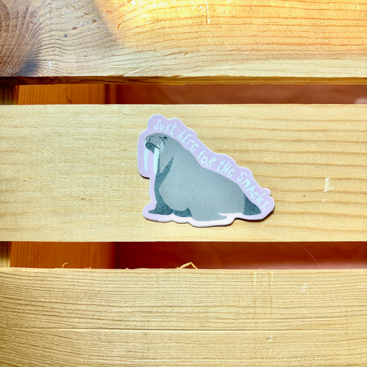 Walrus Here for the Snacks Small Sticker
