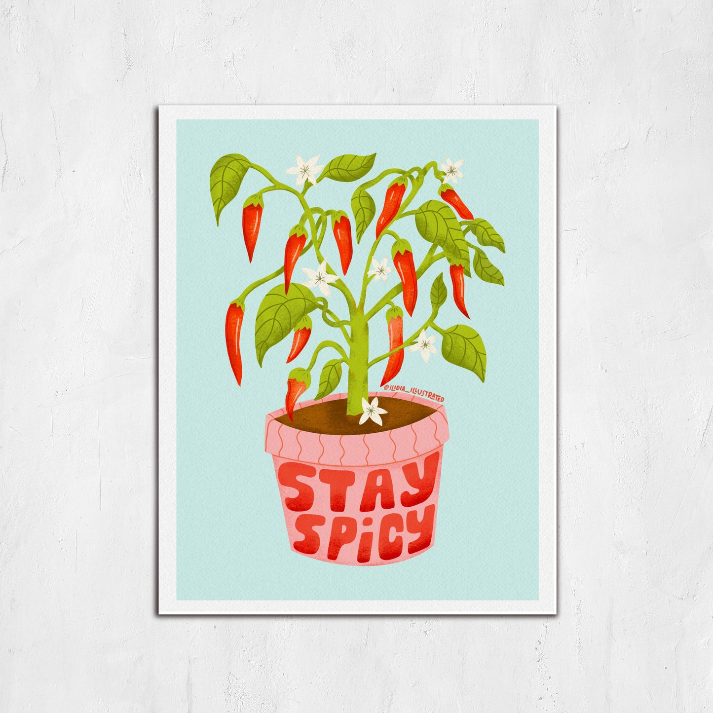 Framed artwork of a potted plant with red peppers and 'Stay Spicy' text on a light blue background.